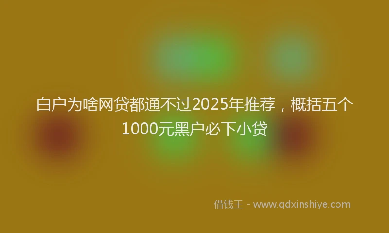 白户为啥网贷都通不过2025年推荐，概括五个1000元黑户必下小贷