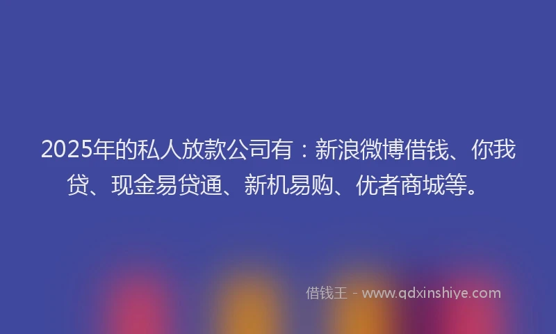 2025年的私人放款公司有：新浪微博借钱、你我贷、现金易贷通、新机易购、优者商城等。