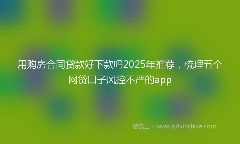 用购房合同贷款好下款吗2025年推荐，梳理五个网贷口子风控不严的app