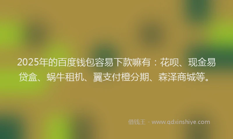 2025年的百度钱包容易下款嘛有：花呗、现金易贷盒、蜗牛租机、翼支付橙分期、森泽商城等。