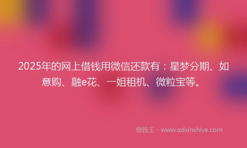 2025年的网上借钱用微信还款有：星梦分期、如意购、融e花、一姐租机、微粒宝等。
