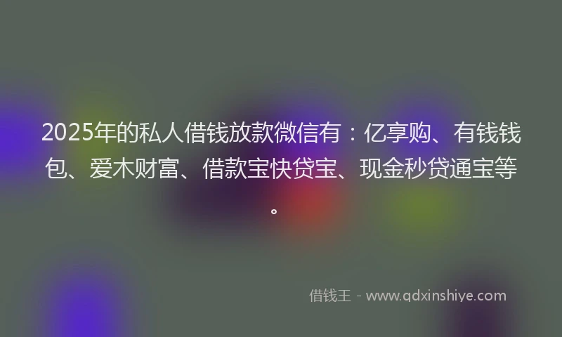 2025年的私人借钱放款微信有：亿享购、有钱钱包、爱木财富、借款宝快贷宝、现金秒贷通宝等。
