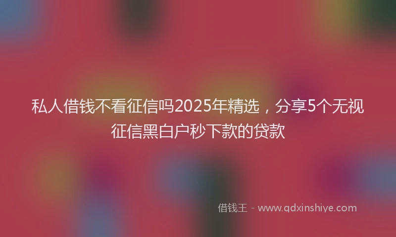 私人借钱不看征信吗2025年精选，分享5个无视征信黑白户秒下款的贷款