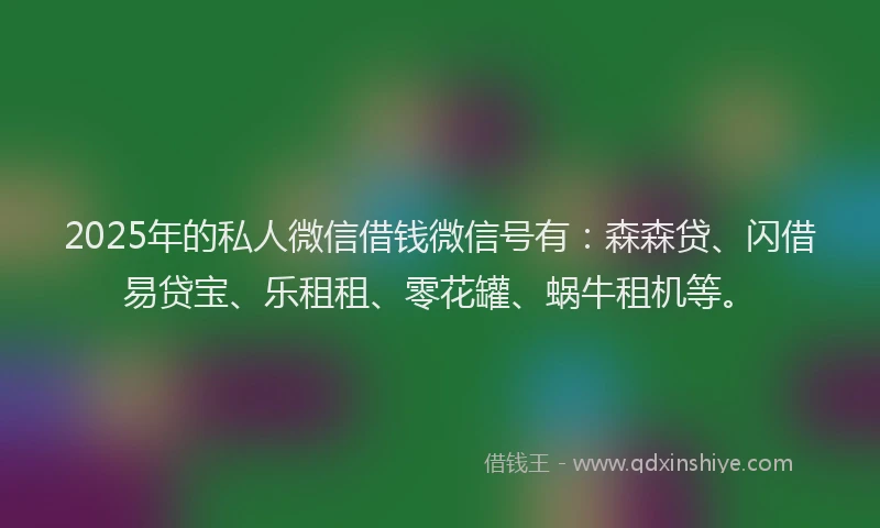 2025年的私人微信借钱微信号有：森森贷、闪借易贷宝、乐租租、零花罐、蜗牛租机等。