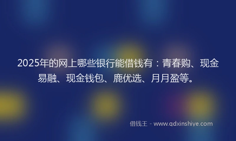 2025年的网上哪些银行能借钱有：青春购、现金易融、现金钱包、鹿优选、月月盈等。