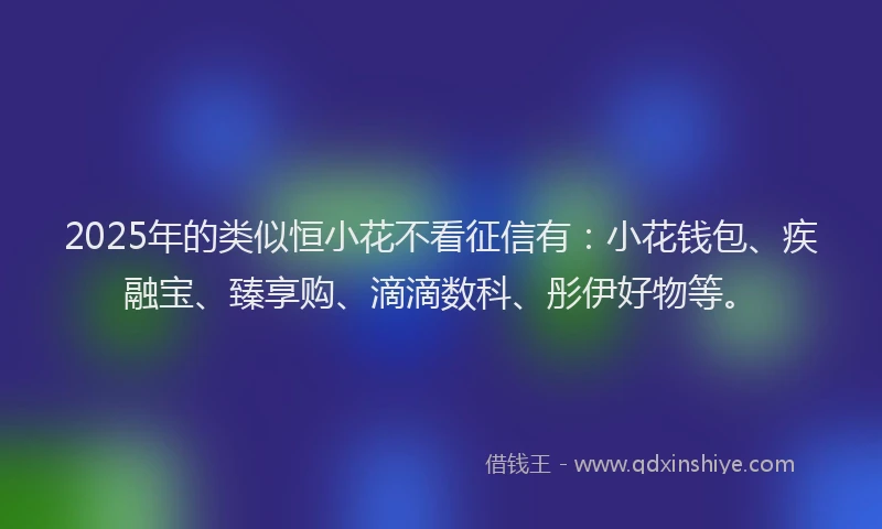 2025年的类似恒小花不看征信有：小花钱包、疾融宝、臻享购、滴滴数科、彤伊好物等。