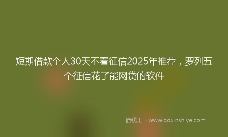 短期借款个人30天不看征信2025年推荐，罗列五个征信花了能网贷的软件