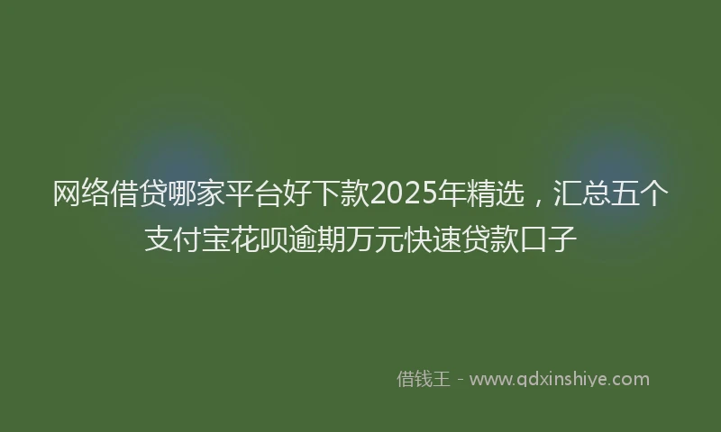 网络借贷哪家平台好下款2025年精选，汇总五个支付宝花呗逾期万元快速贷款口子