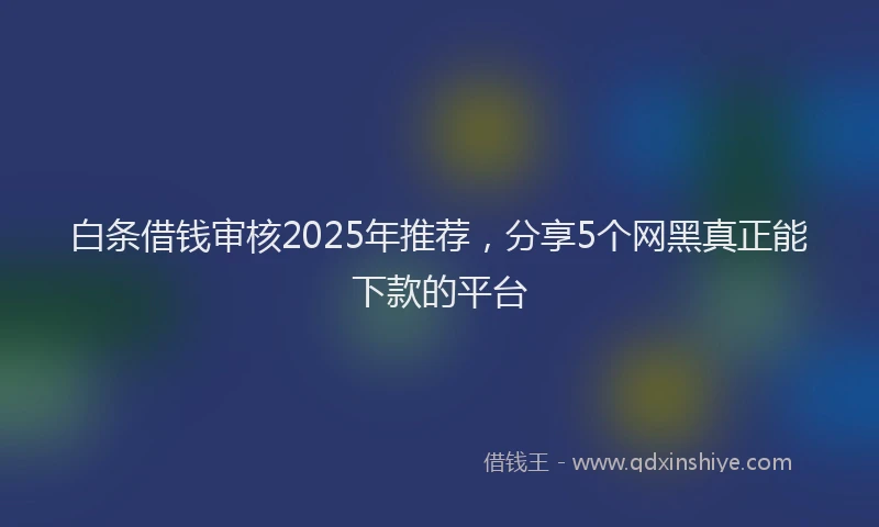 白条借钱审核2025年推荐，分享5个网黑真正能下款的平台