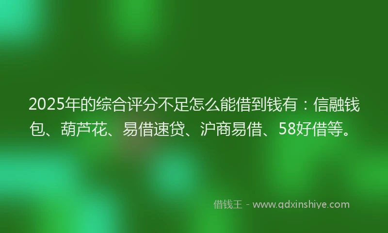 2025年的综合评分不足怎么能借到钱有：信融钱包、葫芦花、易借速贷、沪商易借、58好借等。