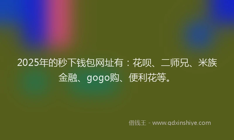 2025年的秒下钱包网址有：花呗、二师兄、米族金融、gogo购、便利花等。