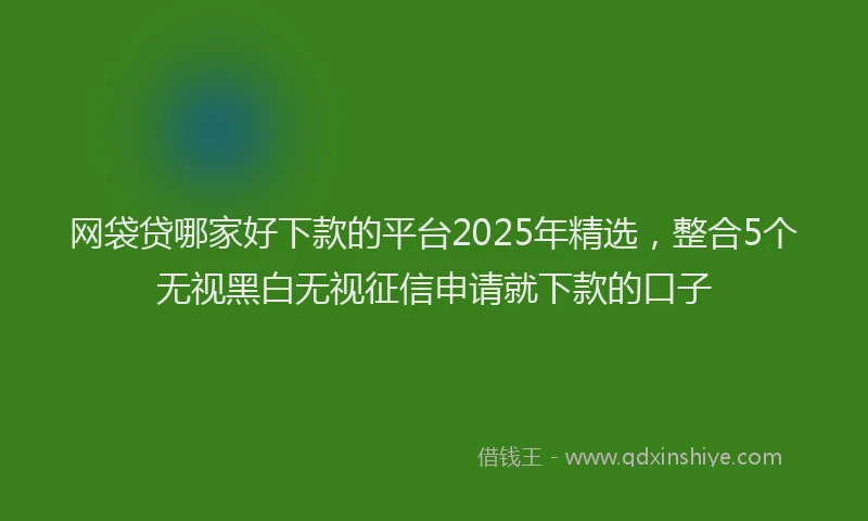 网袋贷哪家好下款的平台2025年精选，整合5个无视黑白无视征信申请就下款的口子