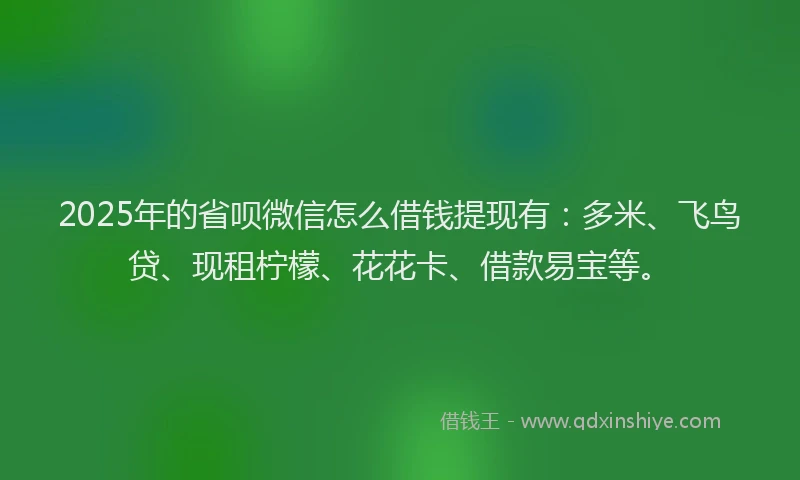 2025年的省呗微信怎么借钱提现有：多米、飞鸟贷、现租柠檬、花花卡、借款易宝等。