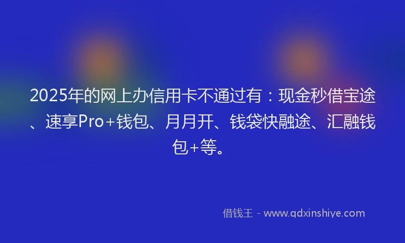 2025年的网上办信用卡不通过有：现金秒借宝途、速享Pro+钱包、月月开、钱袋快融途、汇融钱包+等。