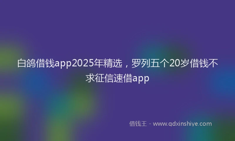 白鸽借钱app2025年精选，罗列五个20岁借钱不求征信速借app