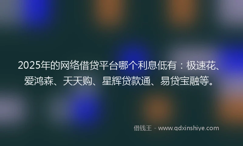 2025年的网络借贷平台哪个利息低有：极速花、爱鸿森、天天购、星辉贷款通、易贷宝融等。