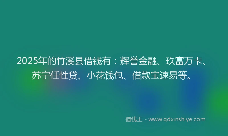 2025年的竹溪县借钱有：辉誉金融、玖富万卡、苏宁任性贷、小花钱包、借款宝速易等。