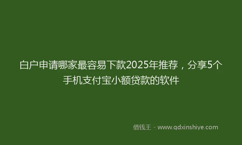 白户申请哪家最容易下款2025年推荐，分享5个手机支付宝小额贷款的软件
