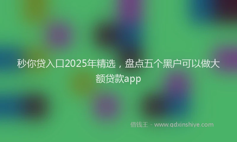 秒你贷入口2025年精选，盘点五个黑户可以做大额贷款app