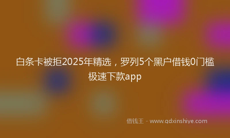 白条卡被拒2025年精选，罗列5个黑户借钱0门槛极速下款app
