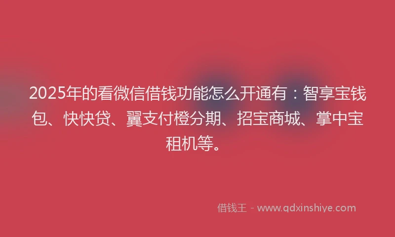 2025年的看微信借钱功能怎么开通有：智享宝钱包、快快贷、翼支付橙分期、招宝商城、掌中宝租机等。