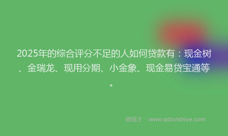 2025年的综合评分不足的人如何贷款有：现金树、金瑞龙、现用分期、小金象、现金易贷宝通等。