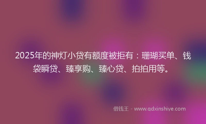 2025年的神灯小贷有额度被拒有：珊瑚买单、钱袋瞬贷、臻享购、臻心贷、拍拍用等。