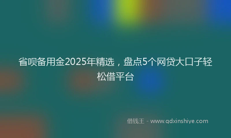 省呗备用金2025年精选，盘点5个网贷大口子轻松借平台
