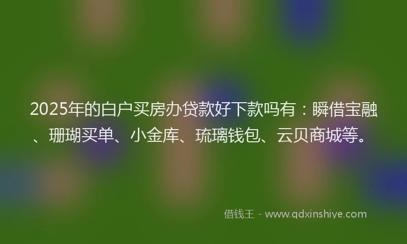2025年的白户买房办贷款好下款吗有：瞬借宝融、珊瑚买单、小金库、琉璃钱包、云贝商城等。