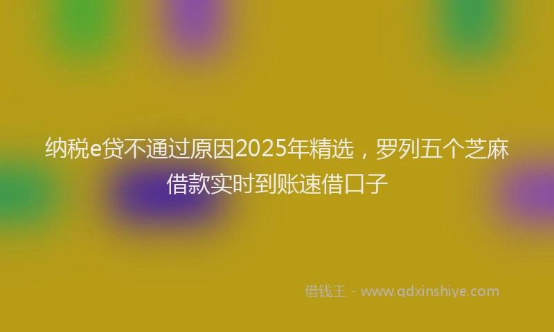 纳税e贷不通过原因2025年精选，罗列五个芝麻借款实时到账速借口子