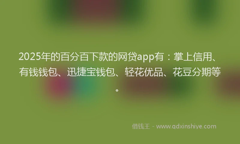 2025年的百分百下款的网贷app有：掌上信用、有钱钱包、迅捷宝钱包、轻花优品、花豆分期等。