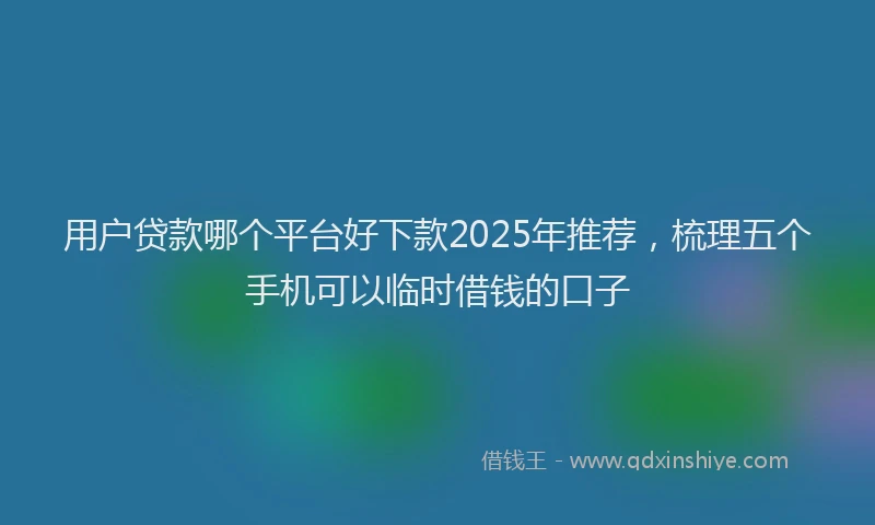 用户贷款哪个平台好下款2025年推荐，梳理五个手机可以临时借钱的口子
