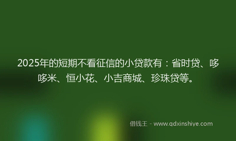2025年的短期不看征信的小贷款有：省时贷、哆哆米、恒小花、小吉商城、珍珠贷等。