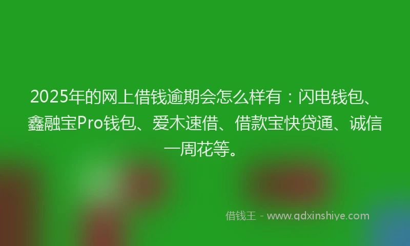 2025年的网上借钱逾期会怎么样有：闪电钱包、鑫融宝Pro钱包、爱木速借、借款宝快贷通、诚信一周花等。