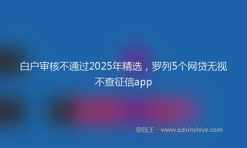 白户审核不通过2025年精选，罗列5个网贷无视不查征信app