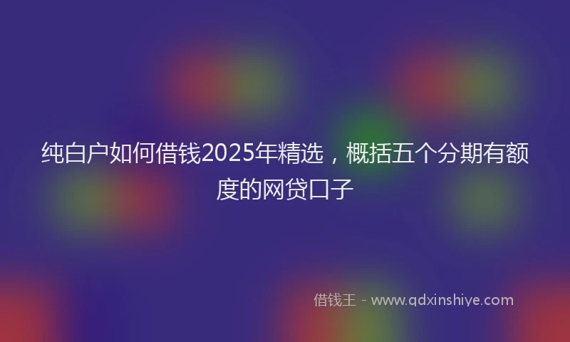 纯白户如何借钱2025年精选，概括五个分期有额度的网贷口子