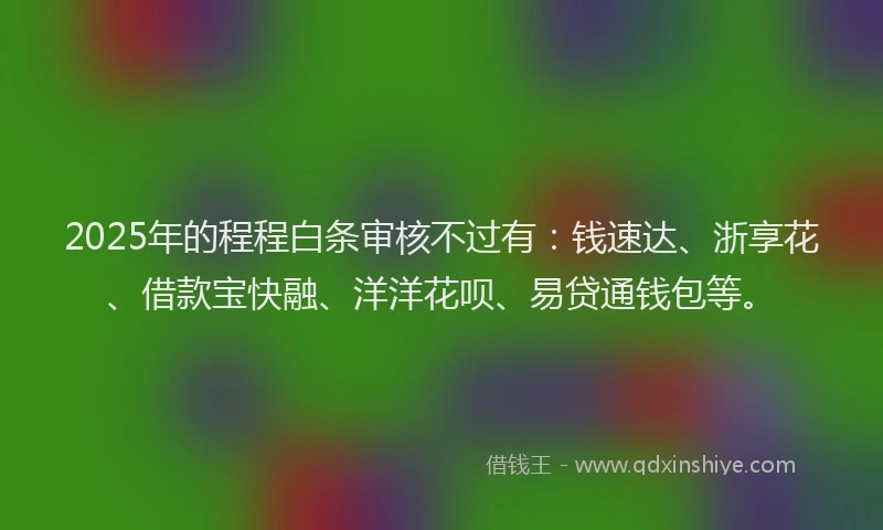 2025年的程程白条审核不过有：钱速达、浙享花、借款宝快融、洋洋花呗、易贷通钱包等。