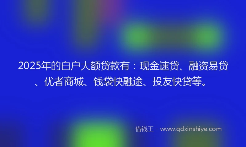 2025年的白户大额贷款有：现金速贷、融资易贷、优者商城、钱袋快融途、投友快贷等。