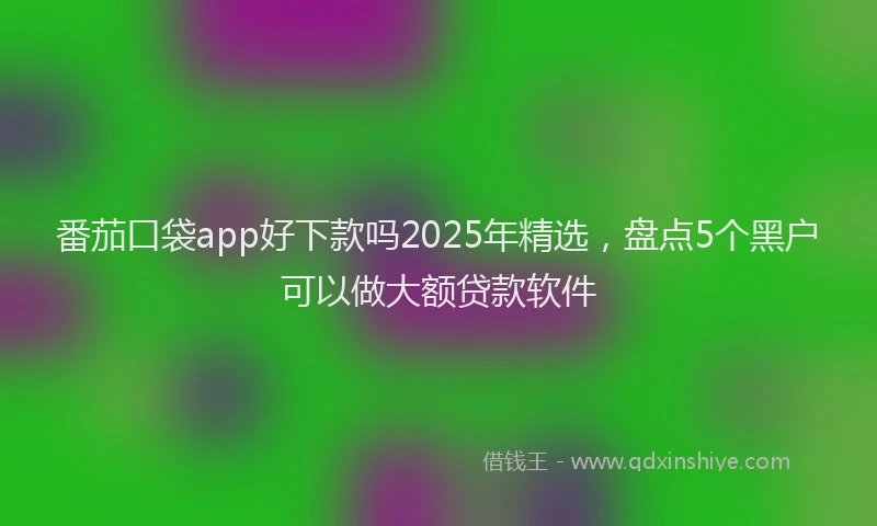 番茄口袋app好下款吗2025年精选，盘点5个黑户可以做大额贷款软件