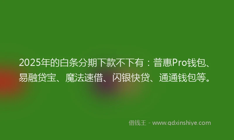 2025年的白条分期下款不下有：普惠Pro钱包、易融贷宝、魔法速借、闪银快贷、通通钱包等。