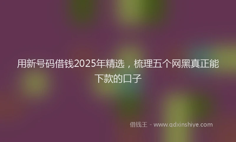 用新号码借钱2025年精选，梳理五个网黑真正能下款的口子