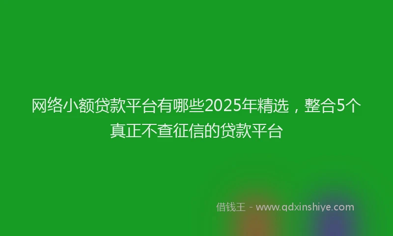 网络小额贷款平台有哪些2025年精选，整合5个真正不查征信的贷款平台