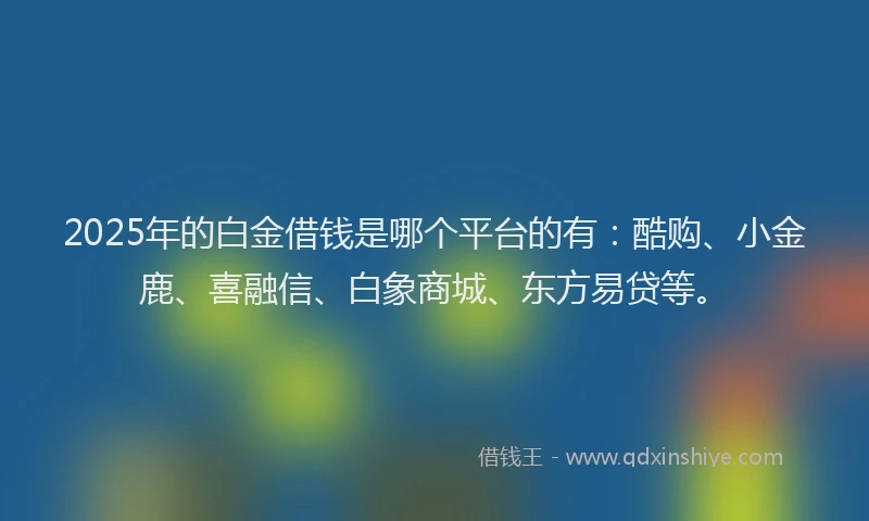 2025年的白金借钱是哪个平台的有：酷购、小金鹿、喜融信、白象商城、东方易贷等。