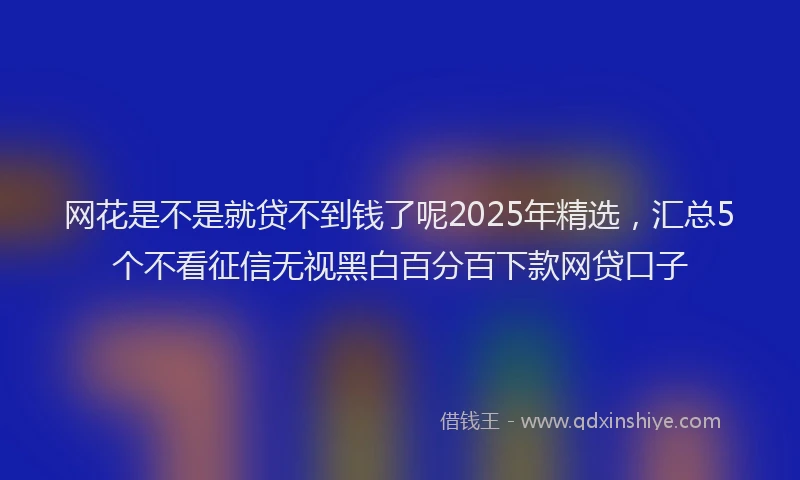 网花是不是就贷不到钱了呢2025年精选，汇总5个不看征信无视黑白百分百下款网贷口子