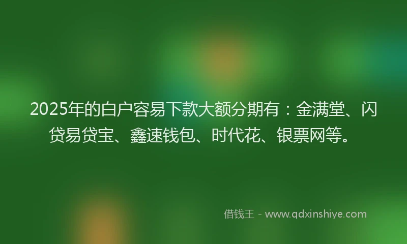 2025年的白户容易下款大额分期有：金满堂、闪贷易贷宝、鑫速钱包、时代花、银票网等。