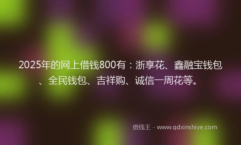 2025年的网上借钱800有：浙享花、鑫融宝钱包、全民钱包、吉祥购、诚信一周花等。