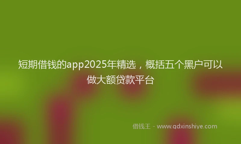 短期借钱的app2025年精选，概括五个黑户可以做大额贷款平台