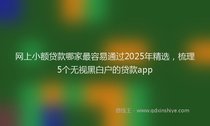 网上小额贷款哪家最容易通过2025年精选，梳理5个无视黑白户的贷款app