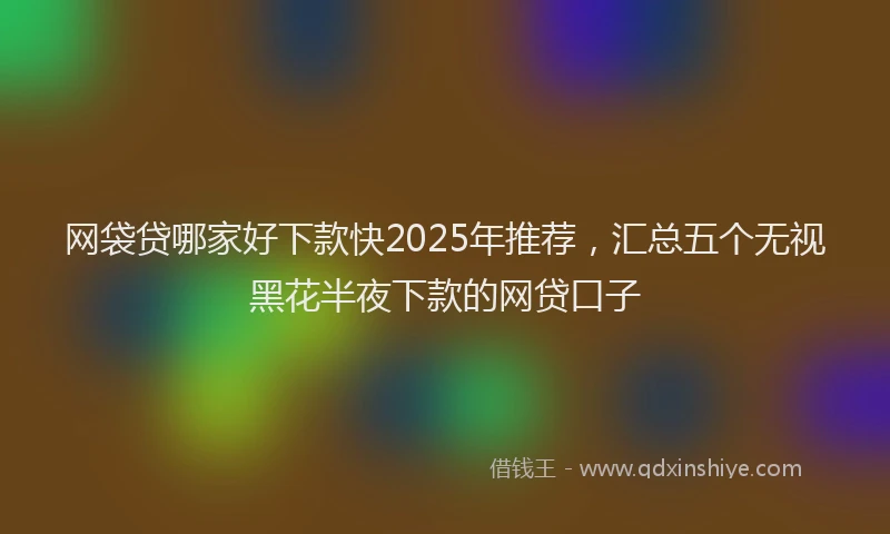 网袋贷哪家好下款快2025年推荐，汇总五个无视黑花半夜下款的网贷口子