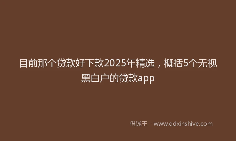 目前那个贷款好下款2025年精选，概括5个无视黑白户的贷款app